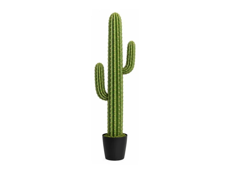 Column Cactus