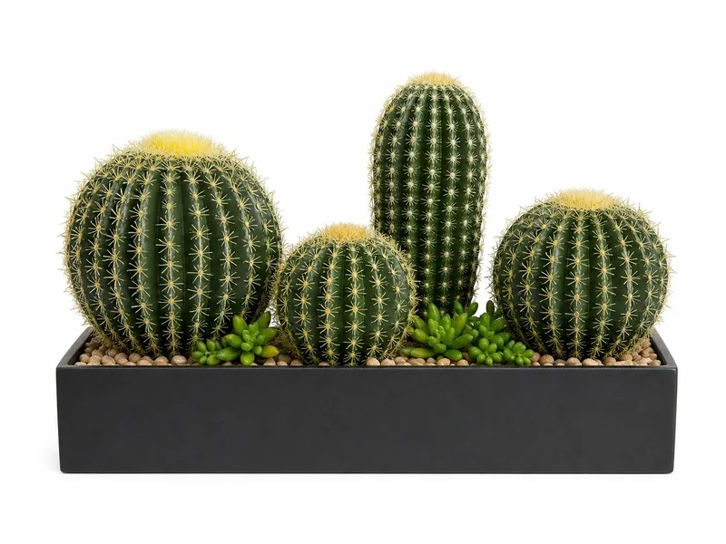 Cactus Cluster