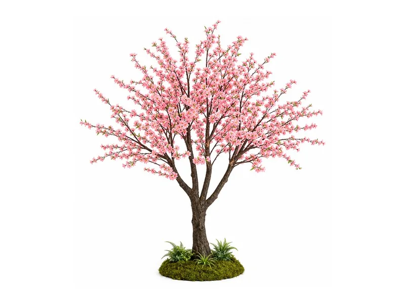 Peach Blossom