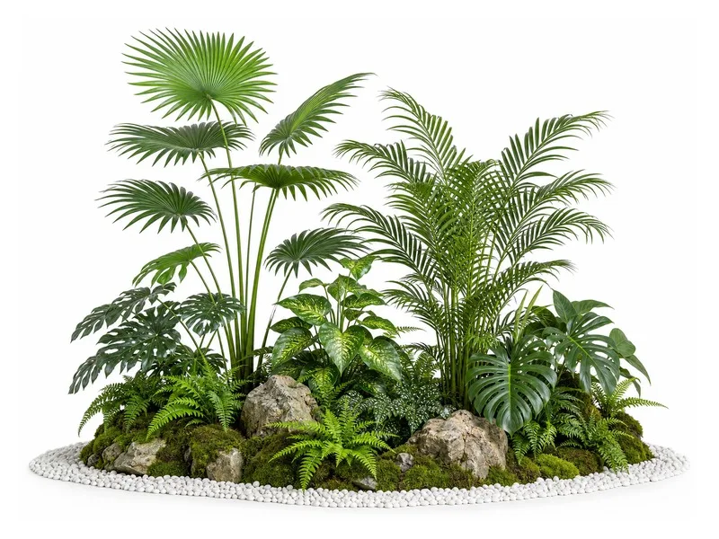 Tropical Cluster